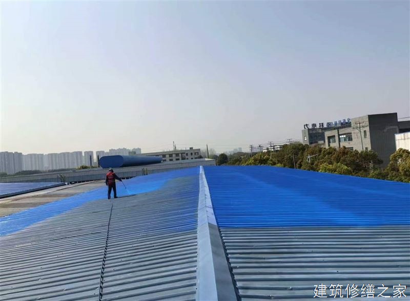 韶关2026仁化县 彩钢瓦除锈翻新防腐 价格是多少钱1m²